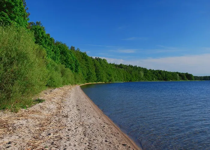 Right On The Shore *